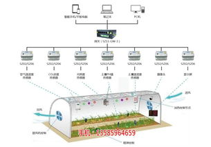 青島即墨農業物聯網系統 軟硬件解決方案助力智慧農業發展